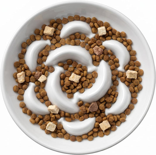 Ceramic Cat Slow Feeder Bowl - 6.3'' Wide Opening Whisker Friendly Cat Plate for Dry and Wet Food - Cute Maze Feeder Dish Helps Reduce Vomiting - Microwave and Dishwasher Safe - White