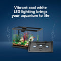 Aqueon Aquarium Starter Kit with Smart Clean Filtration and LED Lighting, Freshwater and Saltwater Fish, Perfect for Tet