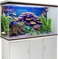 Undersea Aquarium Background 24x12 in Coral Tropical Fish Tank Backdrop