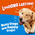Purina Busy Bone Large Dog Chew Treats, Peanut Butter Flavor, 6 ct Pouch