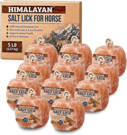 6 Himalayan Salt Block for Horses with Rope Natural Horse Salt Lick for Hydration and Mineral Support