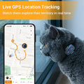 Pawfit Lite 4G GPS Cat Tracker, Live Tracking, Ultra-Light, Onyx Black