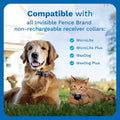 Invisible Fence Brand Power Cap Battery, 2-Pack