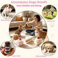 5Pcs Plush Pet Toy, Realistic Food Shaped Chew Toy for Cat, Relieve Boredom (5)