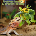 Homedy Crafts Bearded Dragon Climbing Bridge with Veggie Feeder Ball – Bendable Vine Enrichment Route for Large Tanks, Greens Intro Kit, Reptile/Lizard Tank Accessories (Salad Feeder Ball)