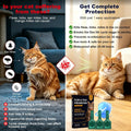 Flea and Tick for Cats, Topical Flea Drops for Cat 9lb+, 6 Pack