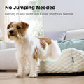 Bedsure Washable Fluffy Cute Dog Beds for Small & Medium Dogs, 25in