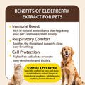 Cough Medicine for Dogs & Cats, Kennel Cough Treatment, Respiratory Infection Support - Sneezing Relief & Cough Treatmen
