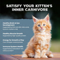 Blue Buffalo Wilderness Natural Kitten Dry Cat Food, with DHA and ARA to Support Brain and Eye Development, High-Protein and Grain-Free Diet, Chicken, 5-lb. Bag