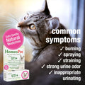 HomeoPet Feline UTI+, Safe and Natural Urinary Tract Supplement for Cats, Feline Urinary Tract Support, 15 Milliliters