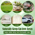 Cat Deterrent Outdoor & Indoor, 10pcs Peppermint Mint Cat Deterrent Balls