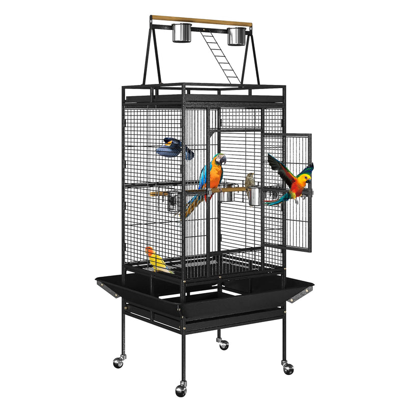 Nova Microdermabrasion 68-Inch Height Wrought Iron Standing Large Play Top Bird Cage for African Grey Small Quaker Parrot Cockatiel Sun Parakeet Green Cheek Conure Dove Budgie Lovebird