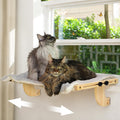 Oversized Adjustable Cat Window Perch for Double Hung Window, Variable Length
