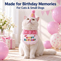 Cat Birthday Hat & Bandana Set with Age Numbers for Small Dogs Pink