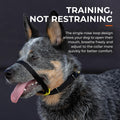Canny Gentle No-Pull Dog Training Head Collar to Stop Pulling Black Size 4