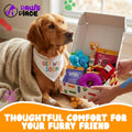 Get Well Soon Dog Gifts, Dog Care Package, Puppy Gift Basket with 3 Dog Treats and 4 Toys, Adorable Puppy Gift Basket, P