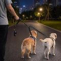 Double Dog Leash, Reflective Shock Absorbing Bungee for 2 Dogs
