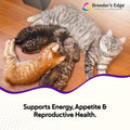 Breeder’s Edge Kitten Lyte, Electrolyte Supplement for Kittens and Nursing Cats, Supports Hydration, Energy & Recovery, Chicken Soup Flavor, 300g