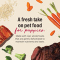 The Honest Kitchen Wholemade Whole Grain Puppy Food, Beef & Salmon Recipe, Human Grade Dehydrated Food for Puppies, Just