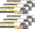 6 Pack Equine Paste 1.87% – 6.08g Each Apple Flavored Oral for Horse