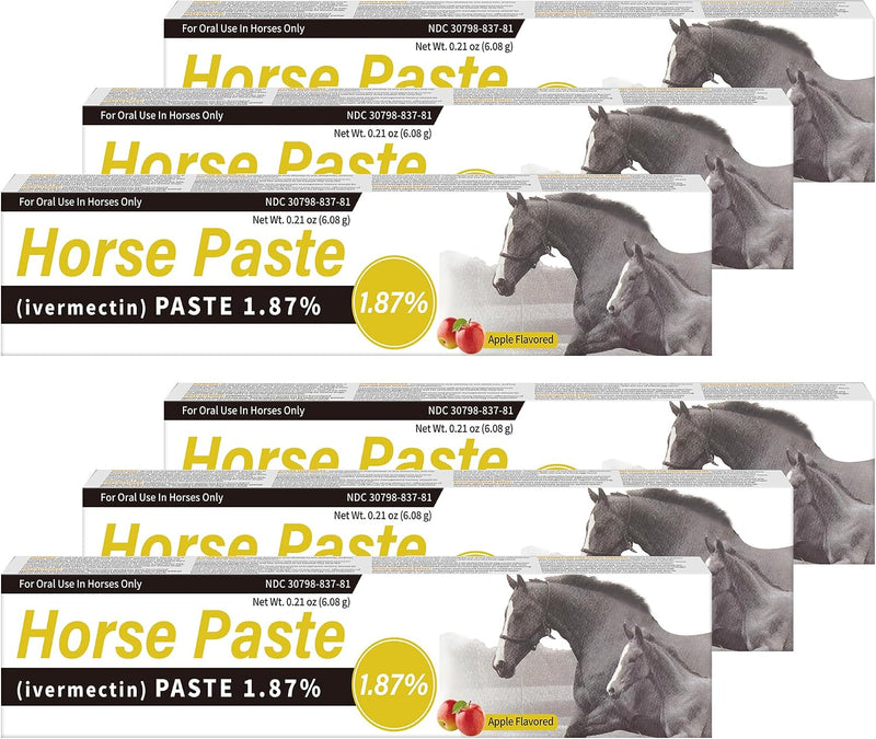 6 Pack Equine Paste 1.87% – 6.08g Each Apple Flavored Oral for Horse