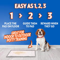 OUT! Petcare Puppy Pads XXL, Heavy Duty, Leak Proof Pee Pads for Dogs, Potty Training & Housebreaking, Puppy Essentials (26"x30", 30 Count)