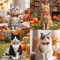 PTDECOR Fall Cat Collars with Bow, Thanksgiving Orange Plaid Cat Collars