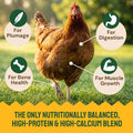 Hatortempt 5lb Grubs & Grits Chicken Grit, Duck Food, Chicken Feed