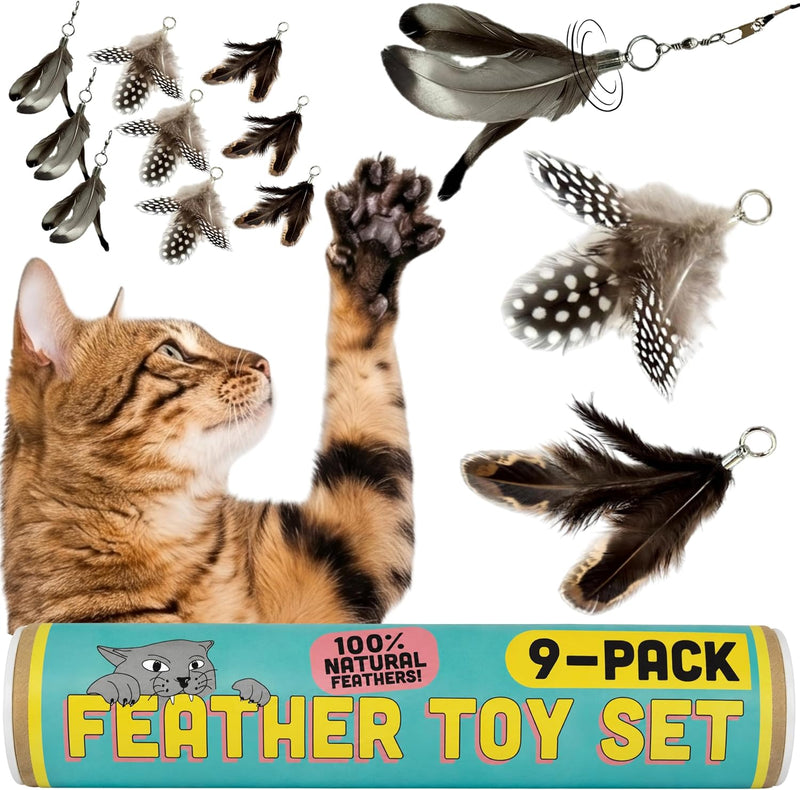 Forever Stick Refill 9-Pack, Feather Cat Wand Toy Attachment