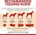 CoQ10 for Dogs, 60 Soft Gels - Dog Heart Health Supplement, Cardiac and Kidney Support - 30mg Coenzyme q10 for Dog Cardi