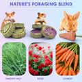 KATUMO Rabbit Chew Toys, Bunny Treats Natural Timothy Hay Sticks