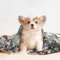 Cute Cat Throw Blanket - Winter Blanket for Cats Dogs Pet Kitten Blankets 23x16 Home Decor for Couch Sofa Bed
