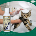 Mad About Organics Oatmeal Shampoo for Cats & Small Pets – Gentle, Balanced Formula for Skin & Coat Health – Comforts Dry Skin Care for Small Pets 4 Weeks & Up, Including Pregnant Pets – 4 oz