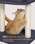 19" Small Cat Tree with Scratching Post for Indoor Cats with Perch