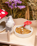 Niteangel Small Animal Snack & Treats - Dried Worms & No Additive