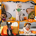 Huhumy 50 Pcs Halloween Dog Collar Flowers Bulk, Pumpkin Ghost Skull Bat