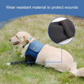 Coodeo Dog Recovery Suit, Cone Collar Alternative, Abrasion Resistant Dog Recovery Sleeve, Washable 2.5mm Thick and Waterproof, Pet Wounds Prevent Licking, Bite, Keep Dry（Blue，XL