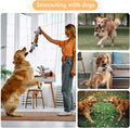Qiiiiian Squeaky Dog Toys, Stuffed Large Dog Toys to Keep Them Busy, Interactive Plush Chew Toys with Crinkle Paper, Tough Pet Animal Toys for Small Medium Large Dogs - Platypus