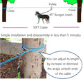 Dog Tie Out Cable for Camping, Dog Trolley System and 4ft Bungee Leash for Dogs Up to 400lbs, Suitable for Camping, Yard and Outdoor Events (Blue25, 50Ft)