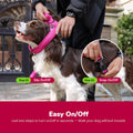 Didog No Pull Dog Harness with Breathable Mesh Padded,Reflective & Quick Fit Light Weight Dog Strap Vest Harness,Easy for Walking Training (L:Chest 26-32", Mesh-Hot Pink)