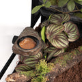 Magnetic Gecko Feeding Ledge, Reptile Food Dish with 3PCS Feeding Cups Crested Gecko Feeder Ledge Water Bowl for Lizard 