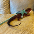 Bearded Dragon Harness and Leash Set - Soft Fleece Dinosaur Vest with Safe Bell Adjustable Lizard Traction Rope Escape P