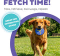 Outward Hound FlyFetch Disc Launcher Dog Toy, Launches Up to 3X Farther, Ergonomic Handle, Durable Rubber Disc, All Breeds