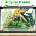 Reptile Branch Decor, Snake Climbing Wood Branches, Terrarium Logs