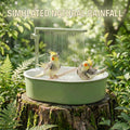 Indoor Bird Bath Fountain & Parrot Shower with Natural Pine Wood Perch