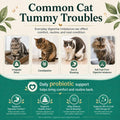 Cat Probiotics Tasty Chews –500 Chews Crunchy & Creamy Texture, Fish Oil Omega-3 Skin & Coat Health Digestive & Gut Support, Constipation Relief, Healthy Stool, Chicken Krill Flavor