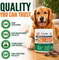 Glucosamine for Dogs - 250 Chews with Chondroitin - Hip and Joint Supplement with MSM - Turmeric - Omega 3 - Joint Pain Relief - Advanced Support for Dog Health - For Large, Medium & Small Breeds