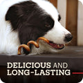 Redbarn Premium Bully Spring for Dogs, 4-6", 3 Count – All-Natural Slow Roasted Single Ingredient Beef Pizzle Pet Chews - Highly Digestible Rawhide Alternative and Long Lasting Spiral Sticks