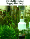 Egg Incubator Tumbler, 50mm Fish Hatchery for Cichlid Breeding