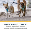 Ruffwear, Double Track Coupler, Double Leash for Two Dogs, Premium Heavy Duty Dual Splitter with 360° Lockable Swivel No Tangle, Shock-Absorbing Stretch Webbing for Walking & Hiking, Basalt Gray